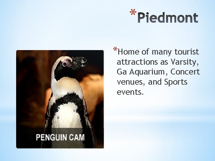 * *Home of many tourist attractions as Varsity, Ga Aquarium, Concert venues, and Sports