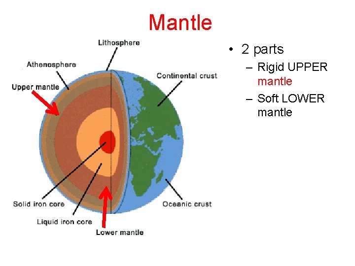 Mantle • 2 parts – Rigid UPPER mantle – Soft LOWER mantle 