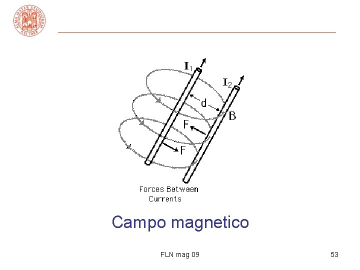 Campo magnetico FLN mag 09 53 