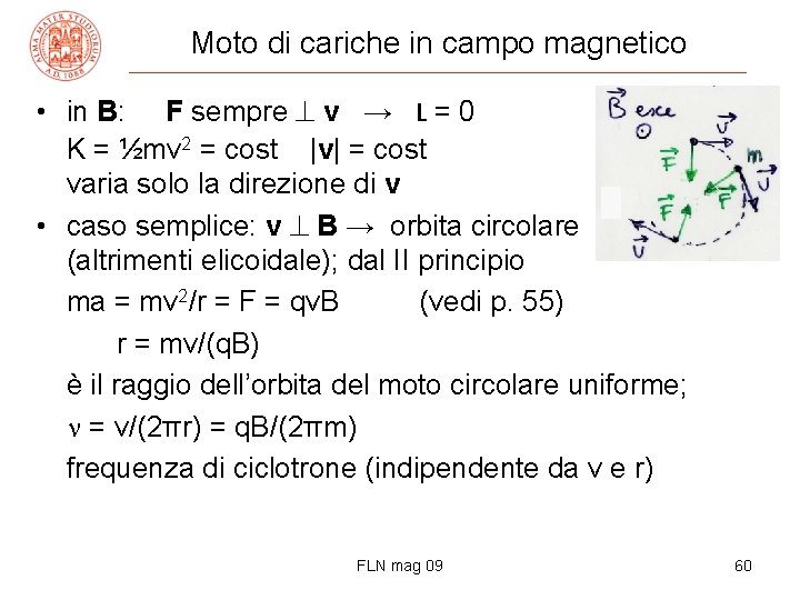 Moto di cariche in campo magnetico • in B: F sempre v → L