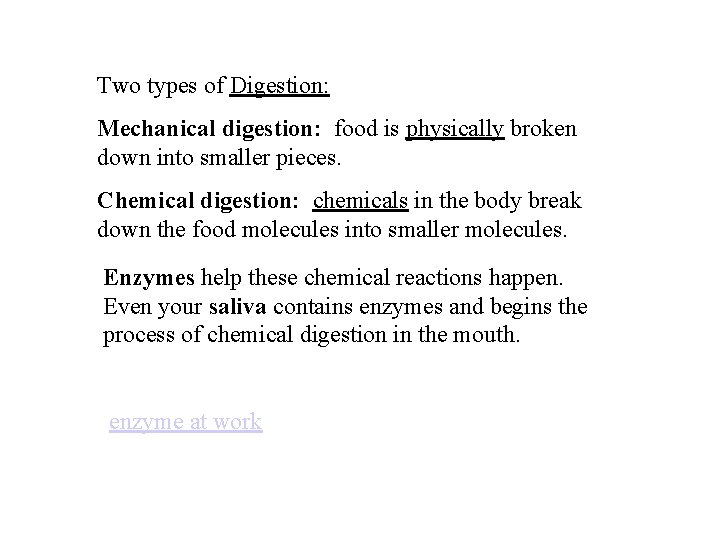 Two types of Digestion: Mechanical digestion: food is physically broken down into smaller pieces.