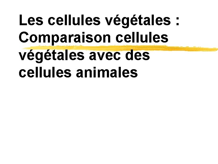 Les cellules végétales : Comparaison cellules végétales avec des cellules animales 