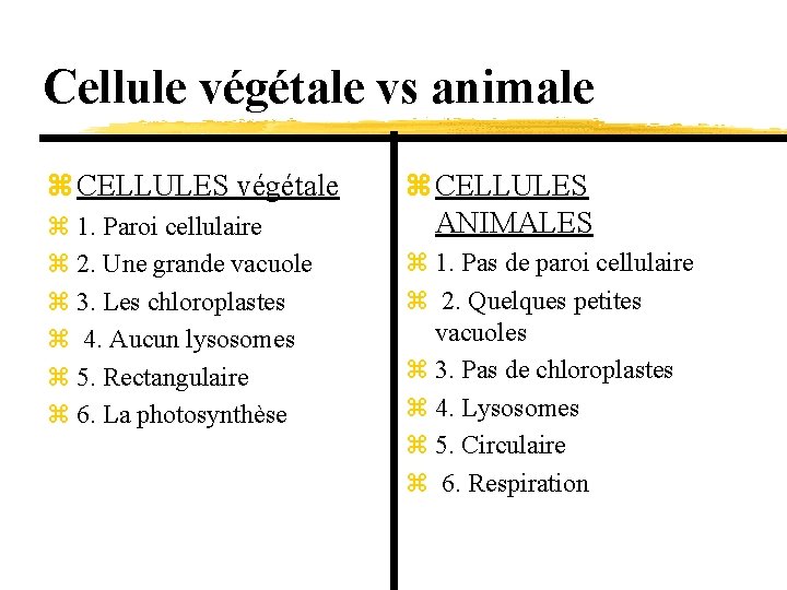 Cellule végétale vs animale z CELLULES végétale z 1. Paroi cellulaire z 2. Une