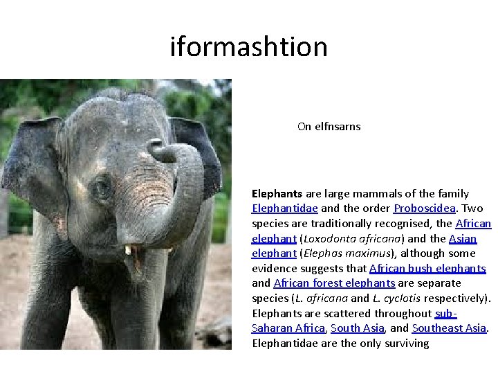 iformashtion On elfnsarns Elephants are large mammals of the family Elephantidae and the order