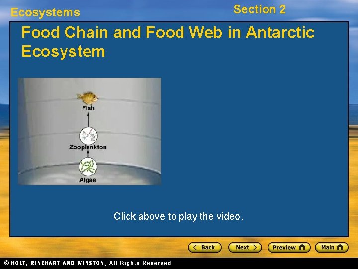 Ecosystems Section 2 Food Chain and Food Web in Antarctic Ecosystem Click above to