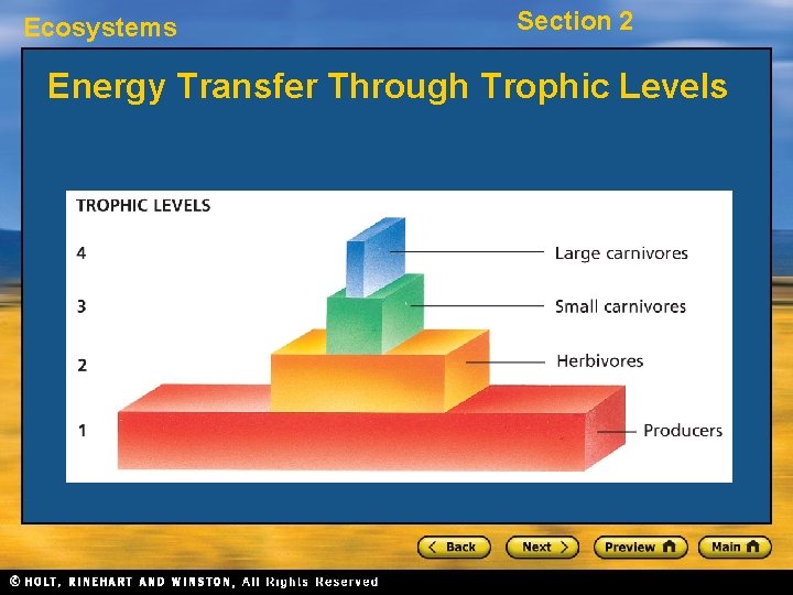 Ecosystems Section 2 Energy Transfer Through Trophic Levels 