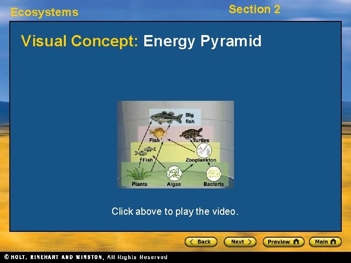 Ecosystems Section 2 Visual Concept: Energy Pyramid Click above to play the video. 