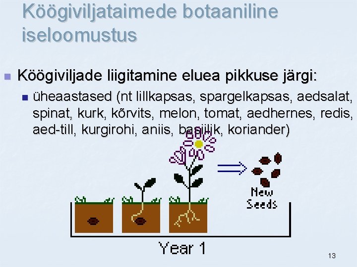 Köögiviljataimede botaaniline iseloomustus n Köögiviljade liigitamine eluea pikkuse järgi: n üheaastased (nt lillkapsas, spargelkapsas,