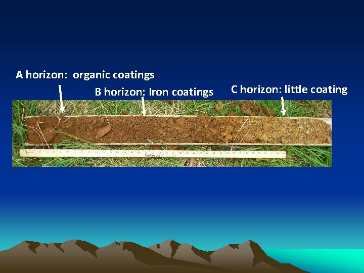 A horizon: organic coatings B horizon: Iron coatings C horizon: little coating 