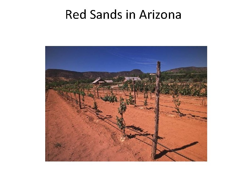 Red Sands in Arizona 