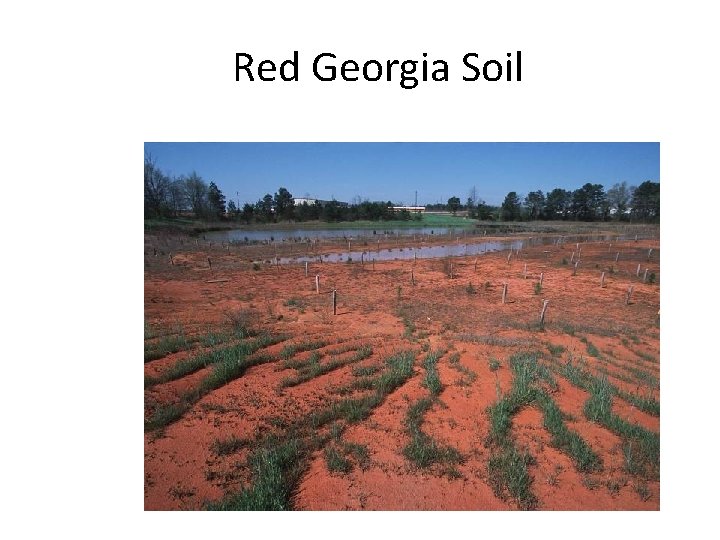 Red Georgia Soil 