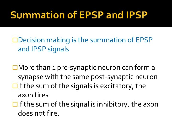 Summation of EPSP and IPSP �Decision making is the summation of EPSP and IPSP