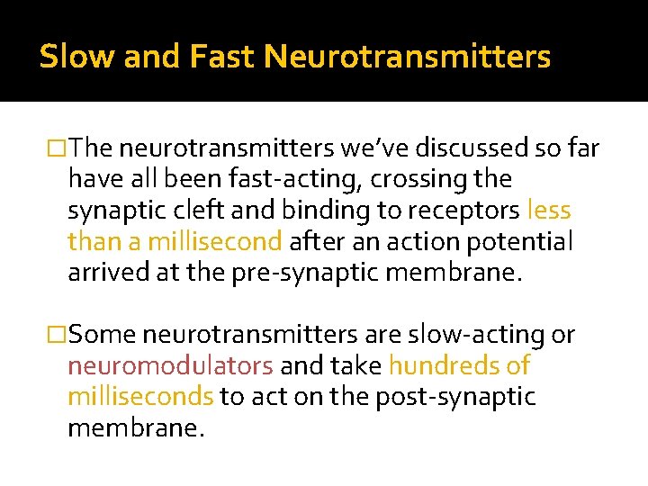 Slow and Fast Neurotransmitters �The neurotransmitters we’ve discussed so far have all been fast-acting,