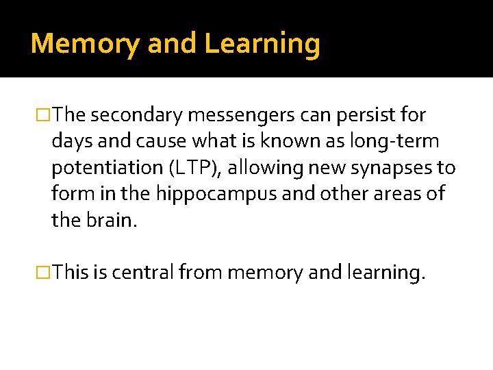 Memory and Learning �The secondary messengers can persist for days and cause what is