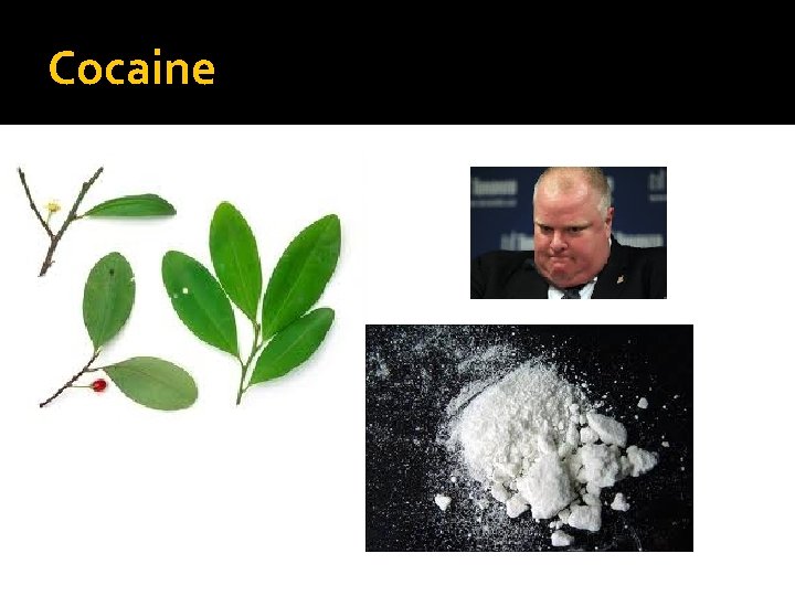 Cocaine 