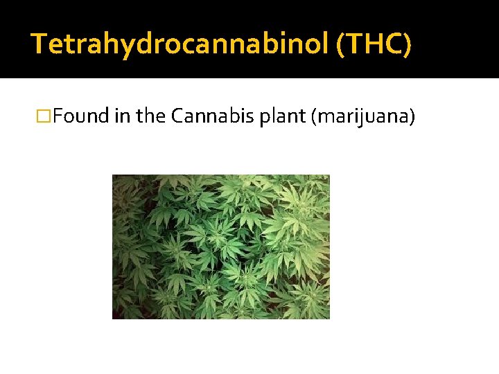 Tetrahydrocannabinol (THC) �Found in the Cannabis plant (marijuana) 