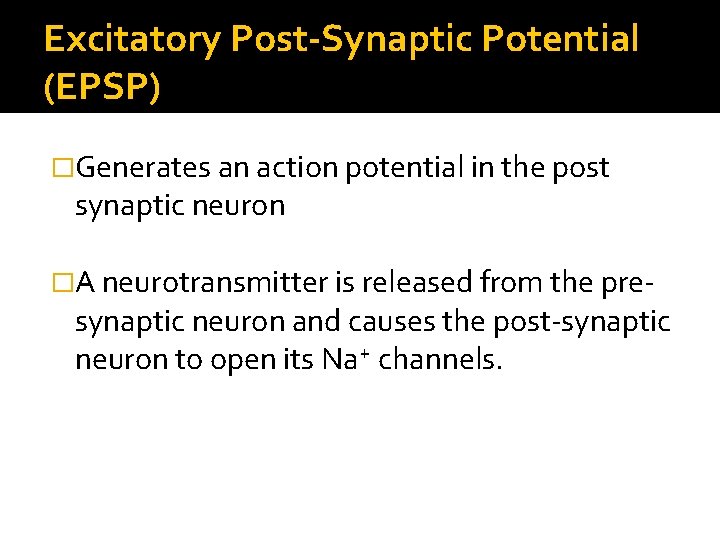 Excitatory Post-Synaptic Potential (EPSP) �Generates an action potential in the post synaptic neuron �A
