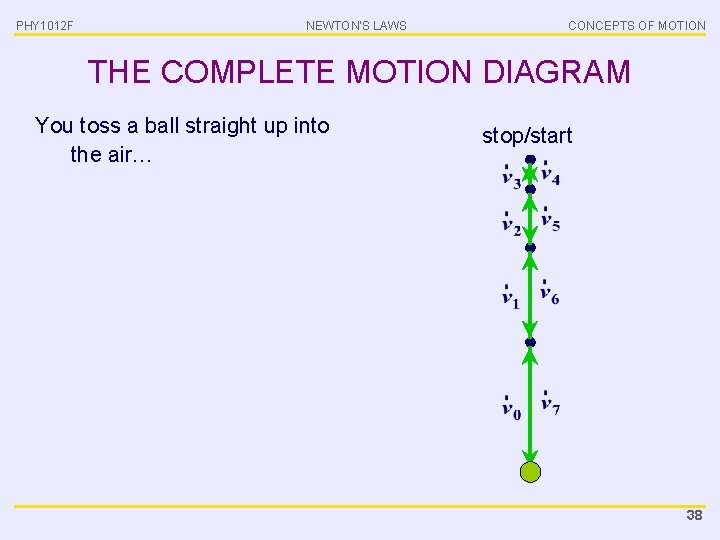 PHY 1012 F NEWTON’S LAWS CONCEPTS OF MOTION THE COMPLETE MOTION DIAGRAM You toss