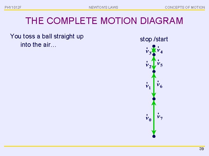 PHY 1012 F NEWTON’S LAWS CONCEPTS OF MOTION THE COMPLETE MOTION DIAGRAM You toss