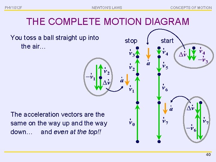 PHY 1012 F NEWTON’S LAWS CONCEPTS OF MOTION THE COMPLETE MOTION DIAGRAM You toss