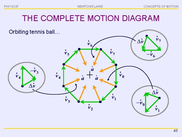 PHY 1012 F NEWTON’S LAWS CONCEPTS OF MOTION THE COMPLETE MOTION DIAGRAM Orbiting tennis