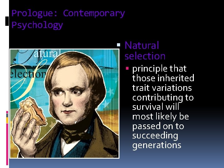 Prologue: Contemporary Psychology § Natural selection § principle that those inherited trait variations contributing