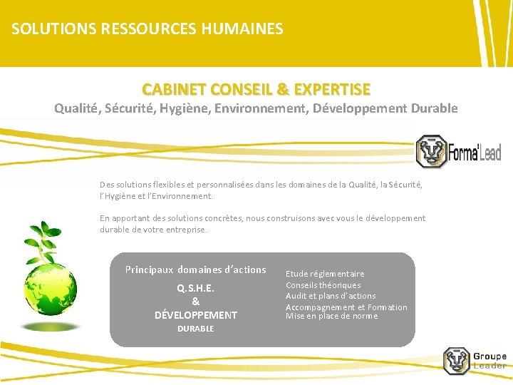 SOLUTIONS RESSOURCES HUMAINES CABINET CONSEIL & EXPERTISE Qualité, Sécurité, Hygiène, Environnement, Développement Durable Des