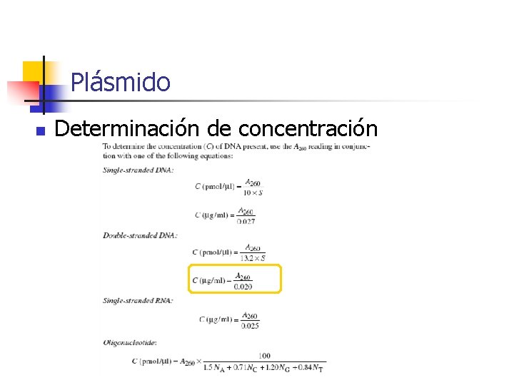 Plásmido n Determinación de concentración 