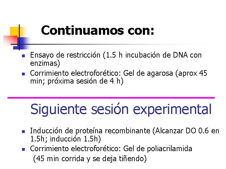 Continuamos con: n n Ensayo de restricción (1. 5 h incubación de DNA con