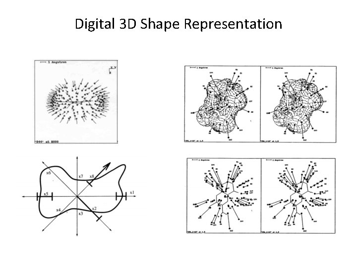Digital 3 D Shape Representation 