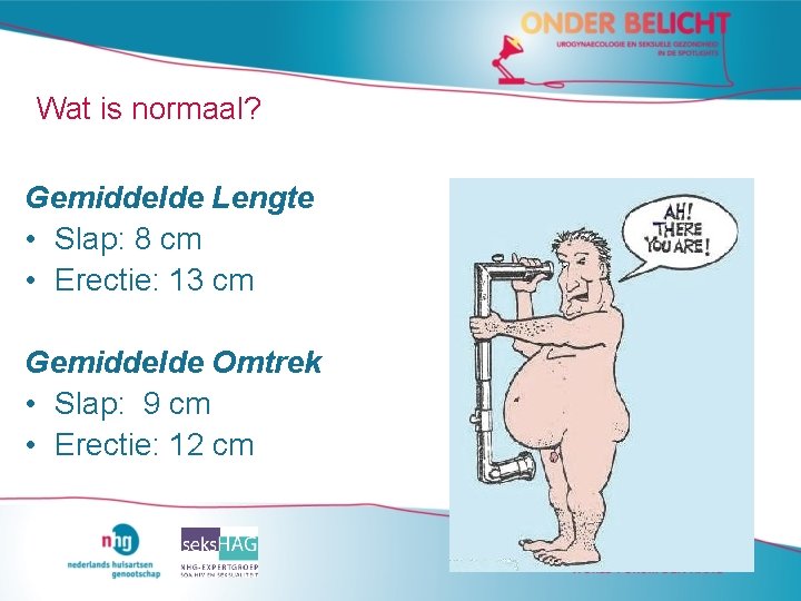 Wat is normaal? Gemiddelde Lengte • Slap: 8 cm • Erectie: 13 cm Gemiddelde