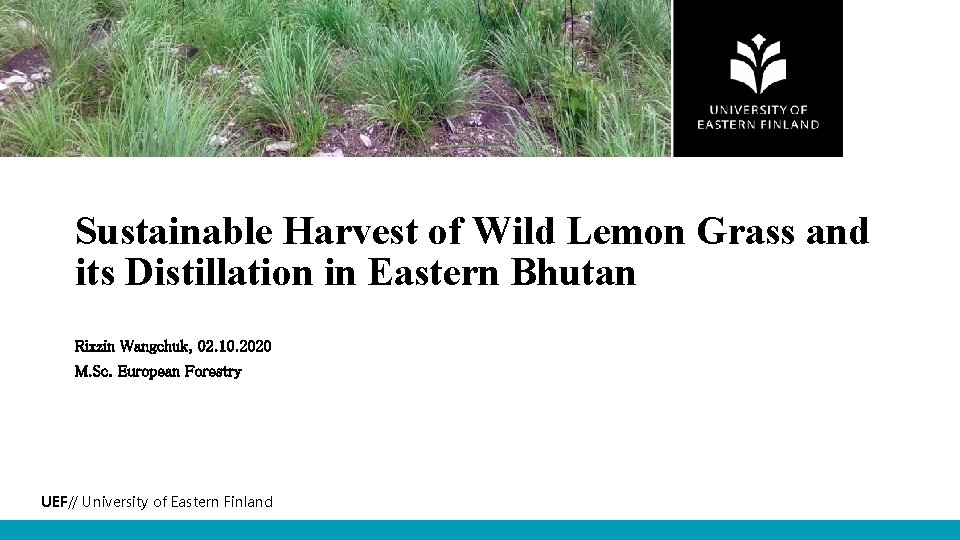 Sustainable Harvest of Wild Lemon Grass and its Distillation in Eastern Bhutan Rixzin Wangchuk,