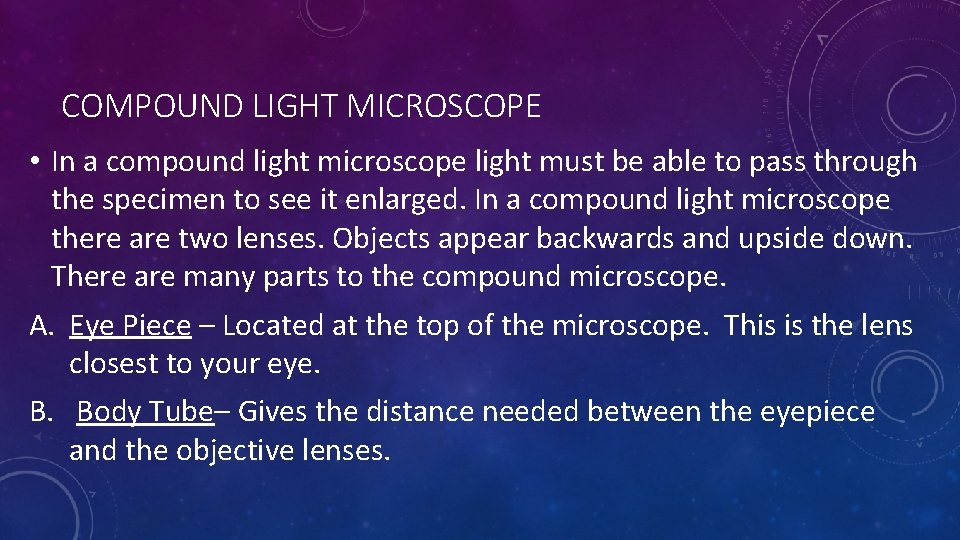 COMPOUND LIGHT MICROSCOPE • In a compound light microscope light must be able to