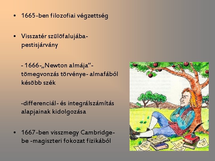  • 1665 -ben filozofiai végzettség • Visszatér szülöfalujábapestisjárvány - 1666 -„Newton almája”tömegvonzás törvénye-