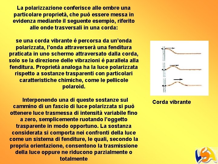 La polarizzazione conferisce alle ombre una particolare proprietà, che può essere messa in evidenza