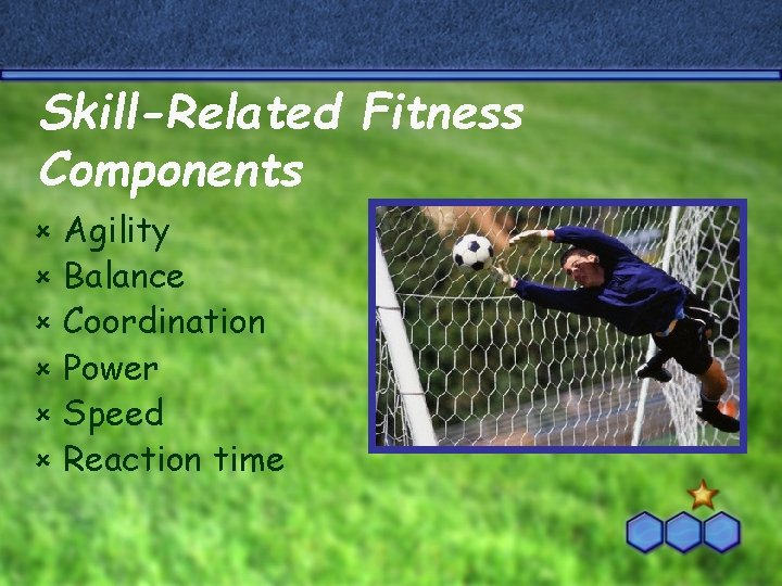 Skill-Related Fitness Components û û û Agility Balance Coordination Power Speed Reaction time 