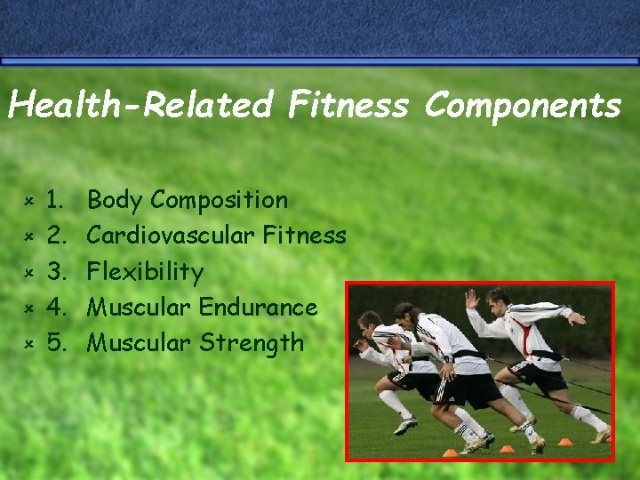Health-Related Fitness Components û û û 1. 2. 3. 4. 5. Body Composition Cardiovascular