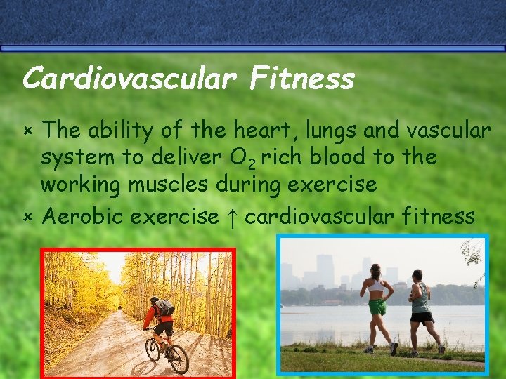 Cardiovascular Fitness The ability of the heart, lungs and vascular system to deliver O