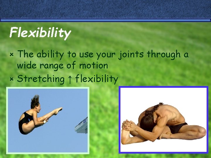 Flexibility The ability to use your joints through a wide range of motion û
