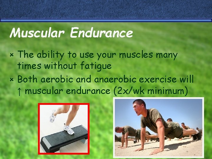 Muscular Endurance The ability to use your muscles many times without fatigue û Both