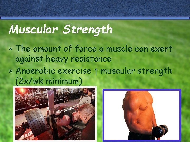 Muscular Strength The amount of force a muscle can exert against heavy resistance û