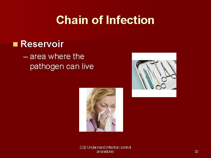 Chain of Infection n Reservoir – area where the pathogen can live 2. 02