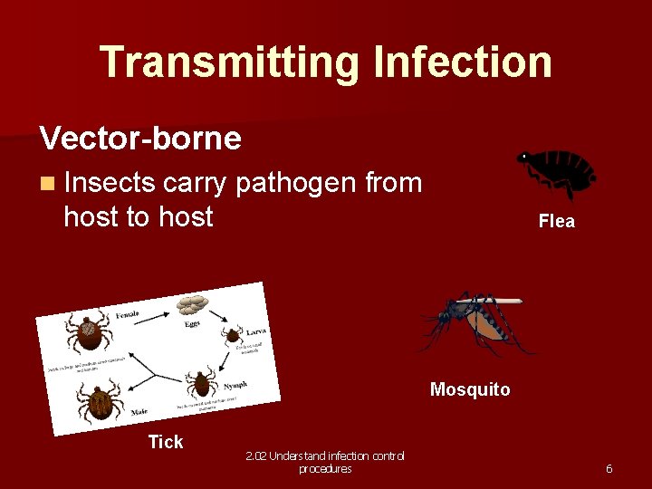 Transmitting Infection Vector-borne n Insects carry pathogen from host to host Flea Mosquito Tick
