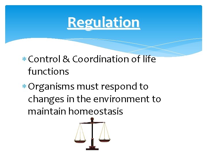 Regulation Control & Coordination of life functions Organisms must respond to changes in the