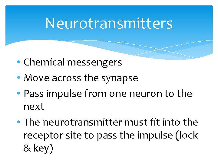 Neurotransmitters • Chemical messengers • Move across the synapse • Pass impulse from one