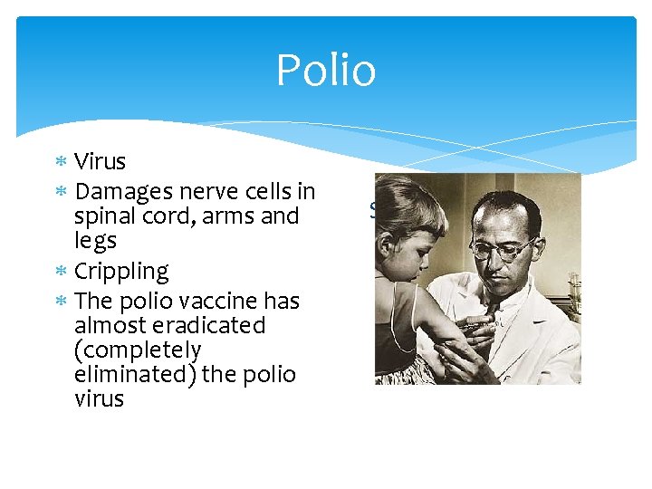 Polio Virus Damages nerve cells in spinal cord, arms and legs Crippling The polio