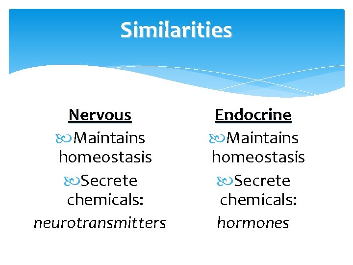 Similarities Nervous Maintains homeostasis Secrete chemicals: neurotransmitters Endocrine Maintains homeostasis Secrete chemicals: hormones 