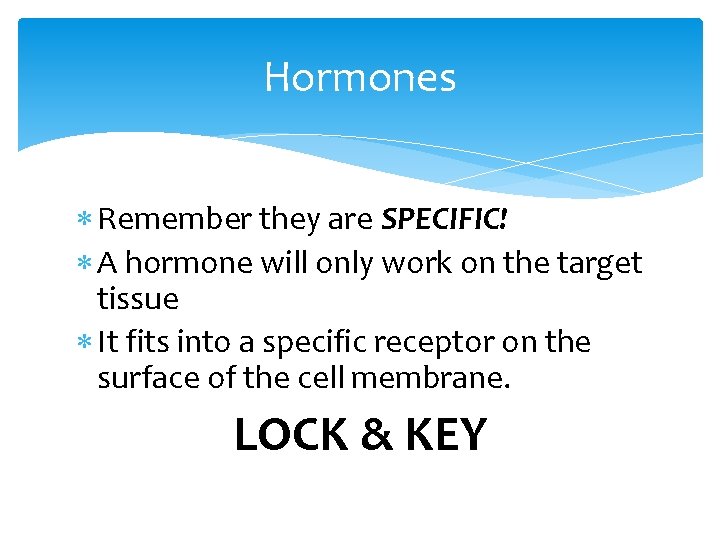 Hormones Remember they are SPECIFIC! A hormone will only work on the target tissue