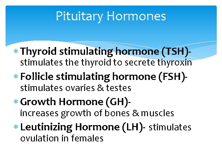 Pituitary Hormones Thyroid stimulating hormone (TSH)- stimulates the thyroid to secrete thyroxin Follicle stimulating