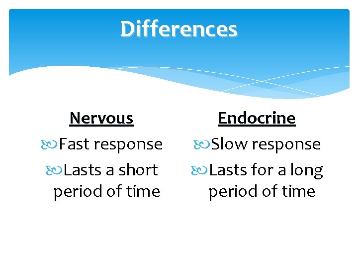 Differences Nervous Fast response Lasts a short period of time Endocrine Slow response Lasts